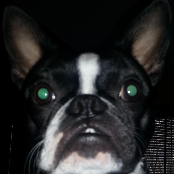 Meet your Posher, Ruby bertha - Picture 1 of 1